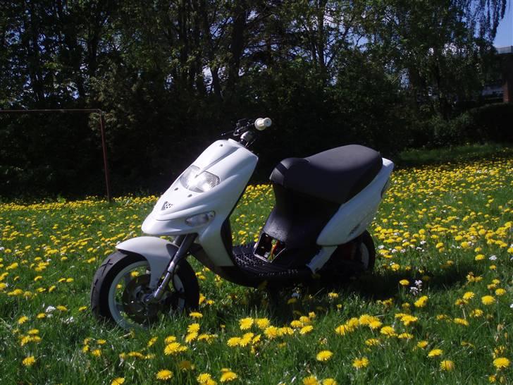 Gilera Stalker Solgt billede 3