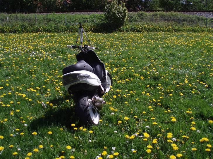 Gilera Stalker Solgt billede 5