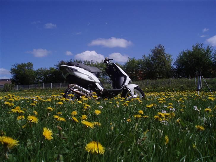 Gilera Stalker Solgt billede 6