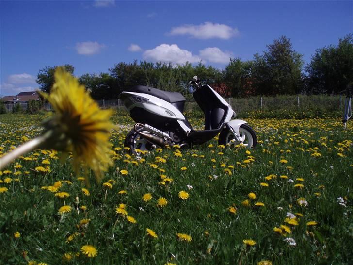 Gilera Stalker Solgt billede 7