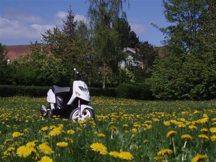 Gilera Stalker Solgt billede 11