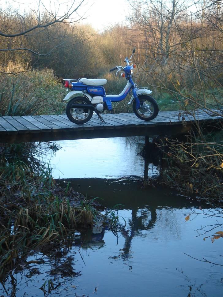 Suzuki FZ50 - SOLGT - 26/11 - 2008 billede 15