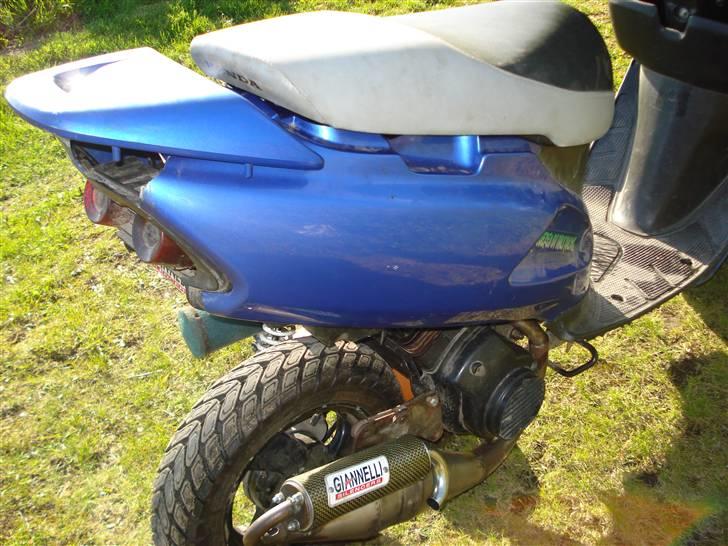 Honda SFX [ SexY] billede 5