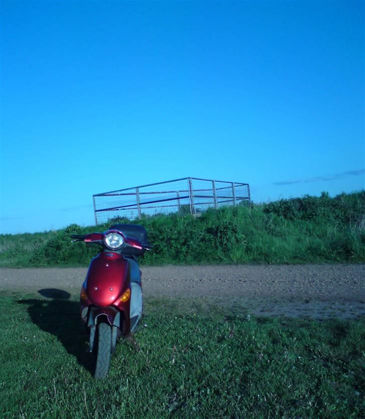 PGO Rodoshow billede 1