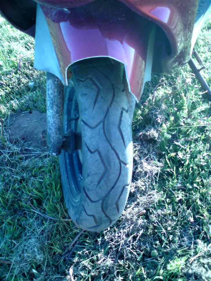 PGO Rodoshow billede 9