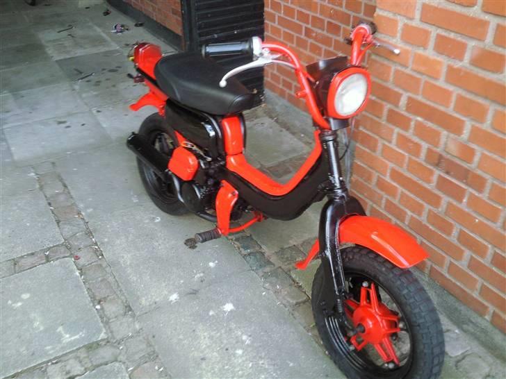 Suzuki Fz50 billede 6