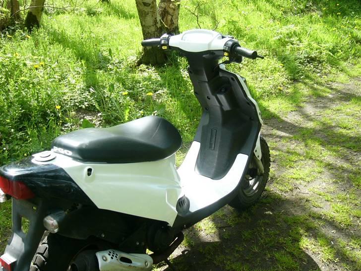 PGO Hot 50 (Til Salg) billede 2