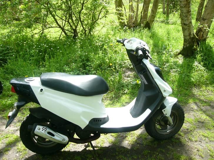 PGO Hot 50 (Til Salg) billede 3