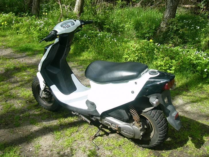 PGO Hot 50 (Til Salg) billede 6