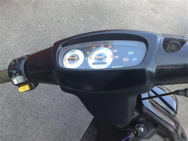 PGO hot50 SOLGT billede 6