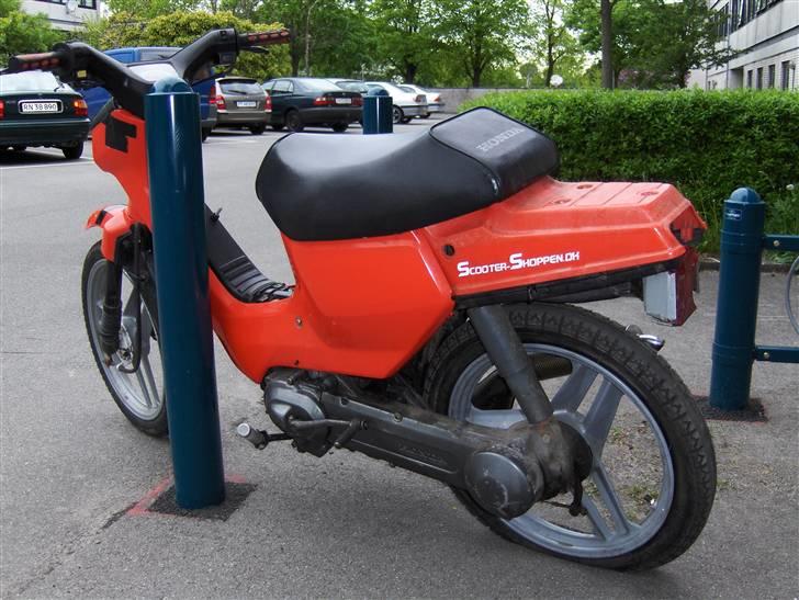 Honda Wallaroo AC ND Athena billede 2