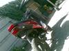 Piaggio NRG AC solgt )': 