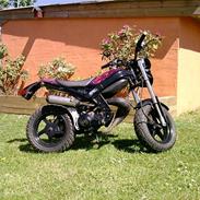 Suzuki Street Magic (Byttet)