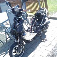 Giantco sprint sport 