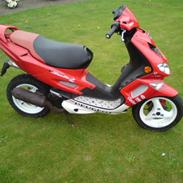 Peugeot Speedfight 2 206 WRC