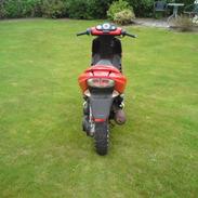 Peugeot Speedfight 2 206 WRC