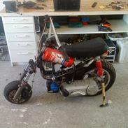 MiniBike Custom Bike