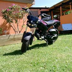 Suzuki Street Magic (Byttet)