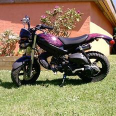 Suzuki Street Magic (Byttet)