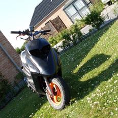 Honda sfx  bytte  jog  