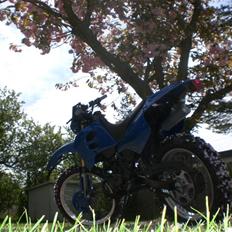 Suzuki  RMX LC dd (efter)