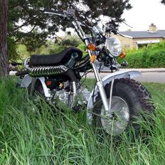 Skyteam T-REX 50 **SOLGT**