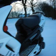 Peugeot Speedfight R-Cup *SOLGT*