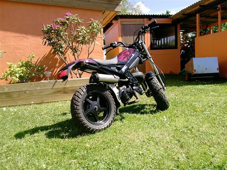 Suzuki Street Magic (Byttet) billede 6