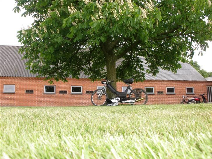 Puch maxi k solgt billede 7