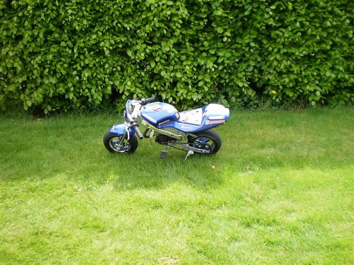 MiniBike Pocket bike DD Tilsalg. billede 12