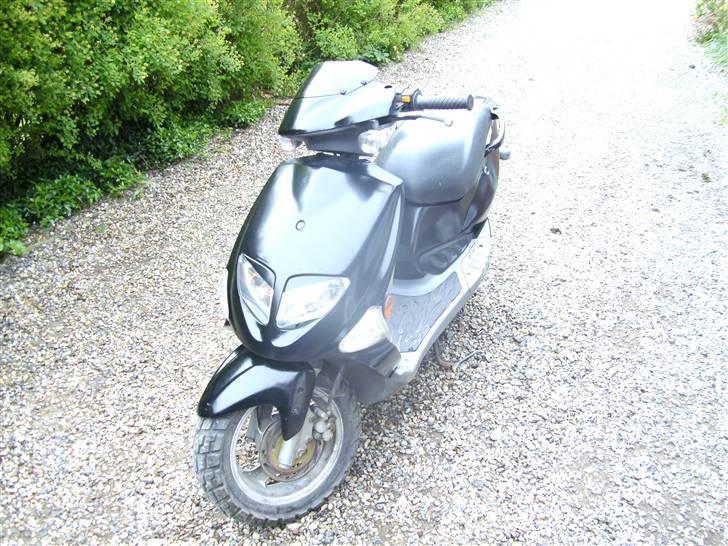 PGO dr. big (Solgt) billede 1