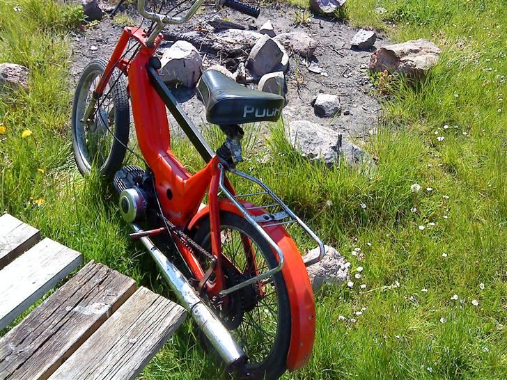 Puch Maxi (Solgt) billede 3