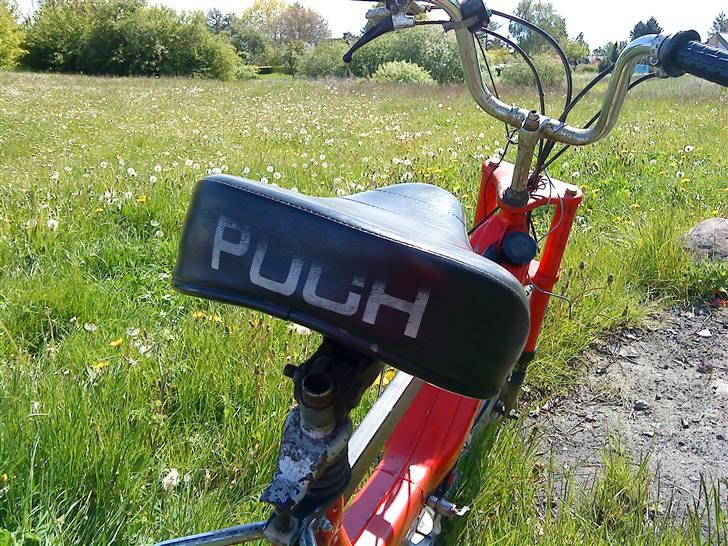 Puch Maxi (Solgt) billede 4