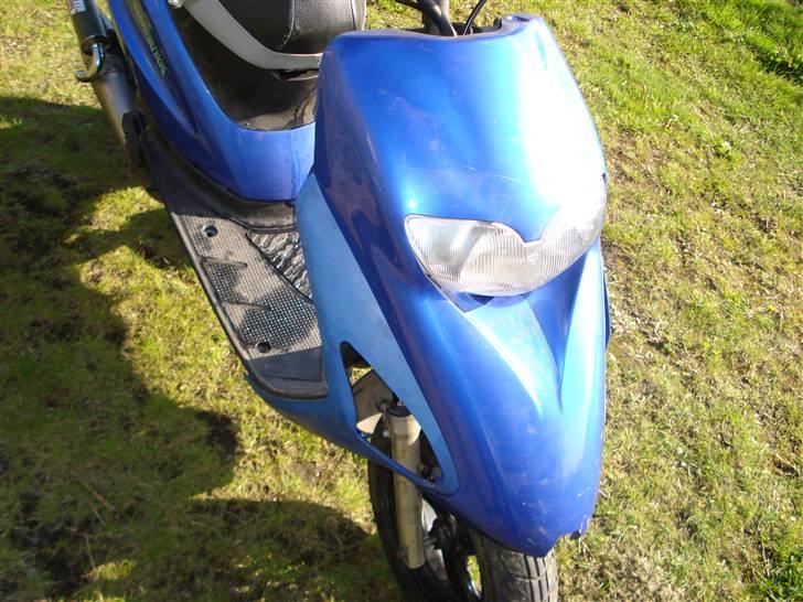 Honda SFX [ SexY] billede 7