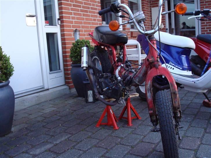 Suzuki fz50  billede 1