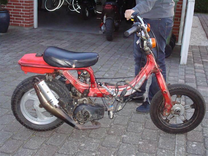 Suzuki fz50  billede 2