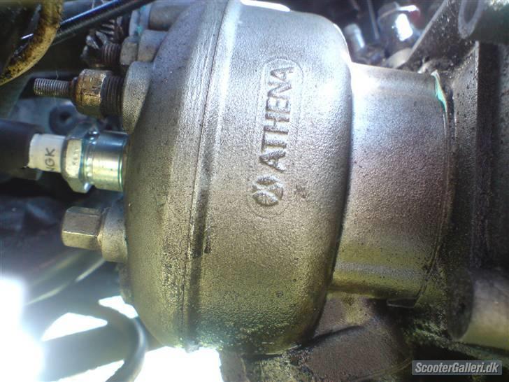 PGO pmx byttet til std naket billede 3