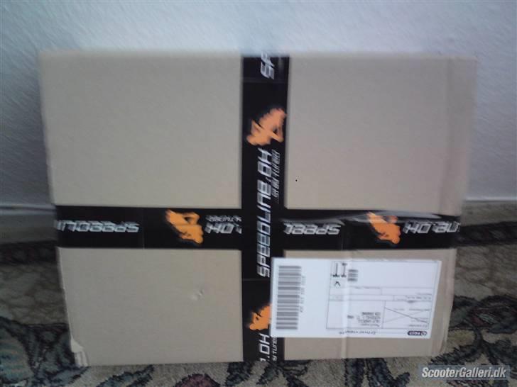 PGO pmx byttet til std naket billede 4