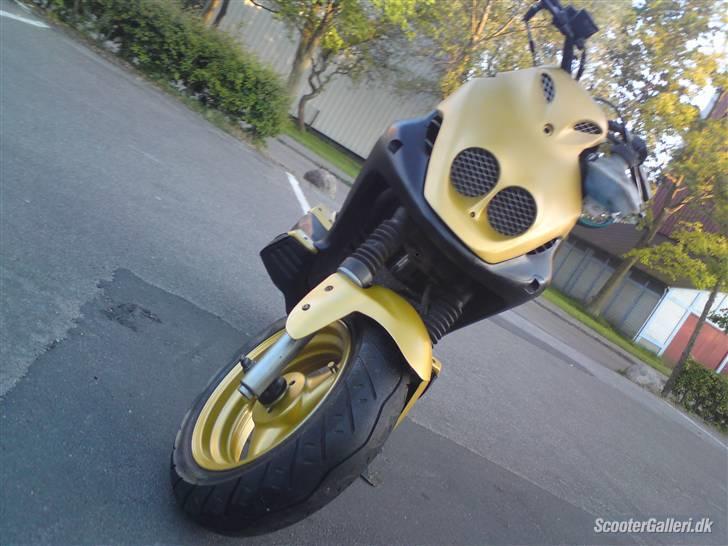 PGO pmx byttet til std naket billede 10