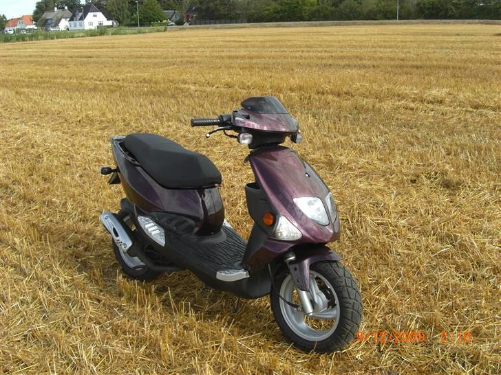 PGO Dr Big Kamælion  billede 12