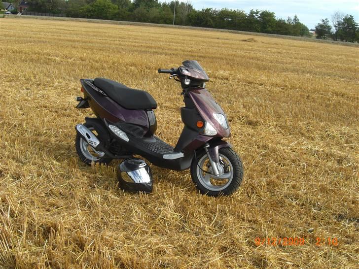 PGO Dr Big Kamælion  billede 13