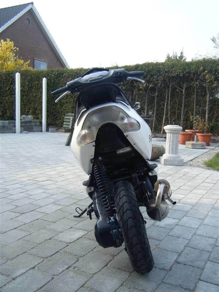 Aprilia Sonic White Edition billede 3