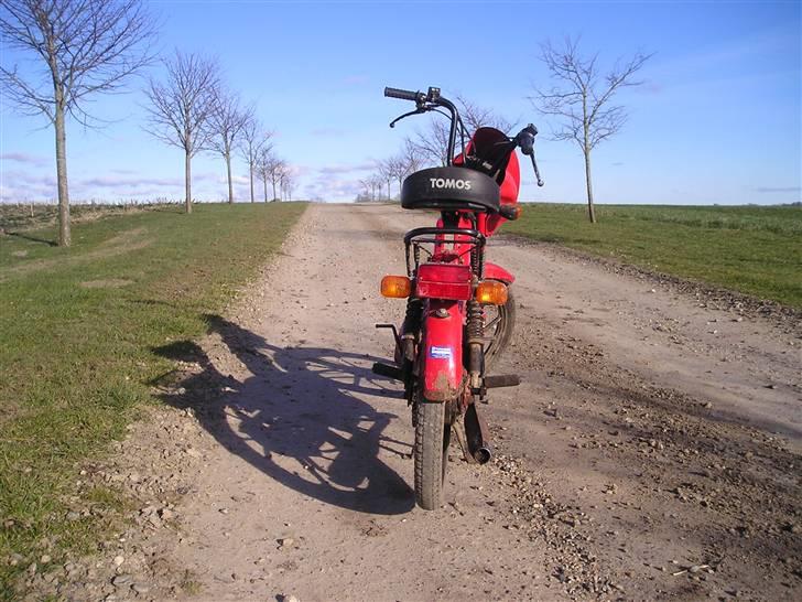 Tomos wizzrd billede 3