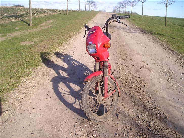 Tomos wizzrd billede 4