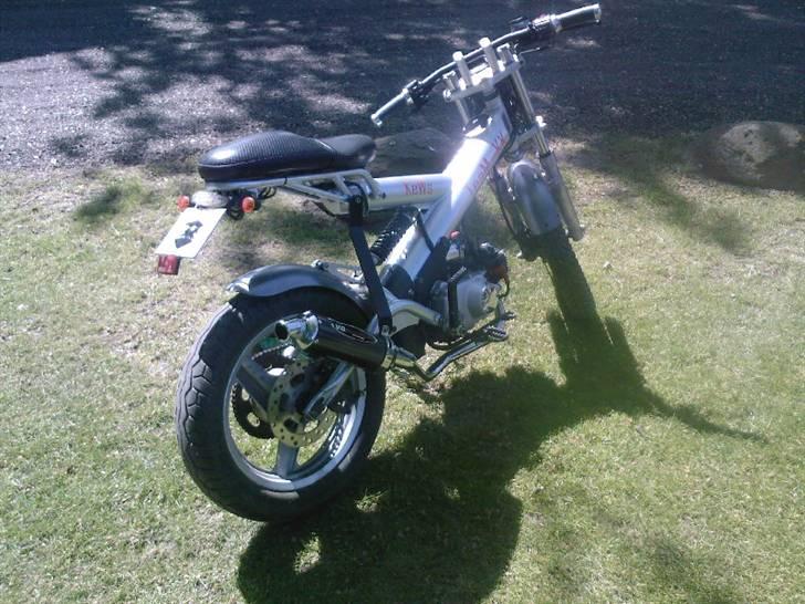 Sachs Madass (Aka Den SureRøv) Saelges. billede 13