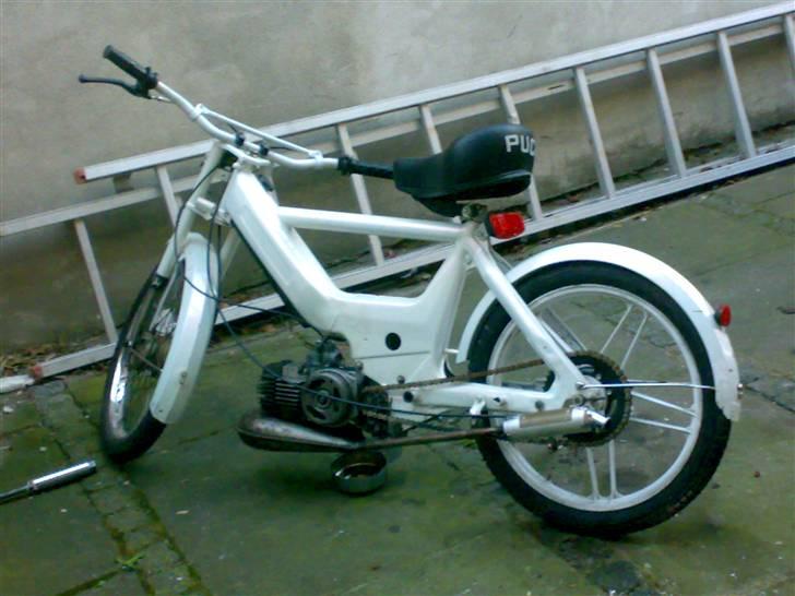 Puch maxi (MAX) - sådan så han ud lige da jeg fik ham. billede 2