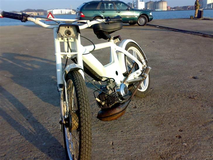 Puch maxi (MAX) - sådan så han ud lige da jeg fik ham. billede 3