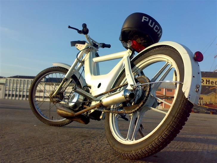 Puch maxi (MAX) - sådan så han ud lige da jeg fik ham. billede 5
