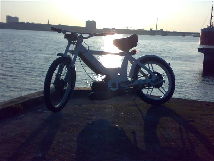 Puch maxi (MAX) - sådan så han ud lige da jeg fik ham. billede 6