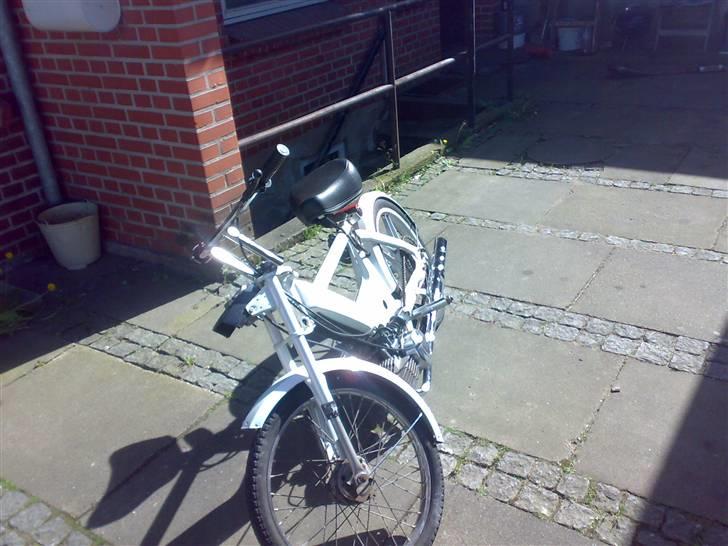 Puch maxi (MAX) - efter han blev stylet lidt billede 7